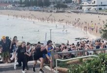 بوندی بیچ پر حملہ کرنے والے مشتبہ افراد کون تھے ؟